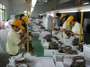 檢品工廠一站式服務 包裝、配送與家政支持一體解決方案